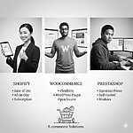 le prestataire choisir un e-commerce shopping bisatel